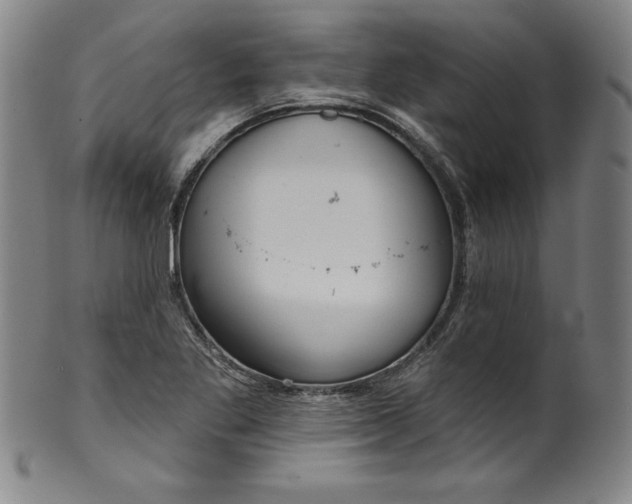 X0000099971269200806061621