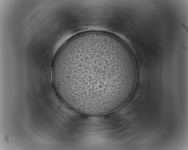 X0000099971271200806061621