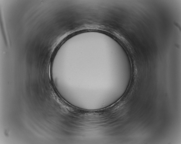 X0000099971272200806061621