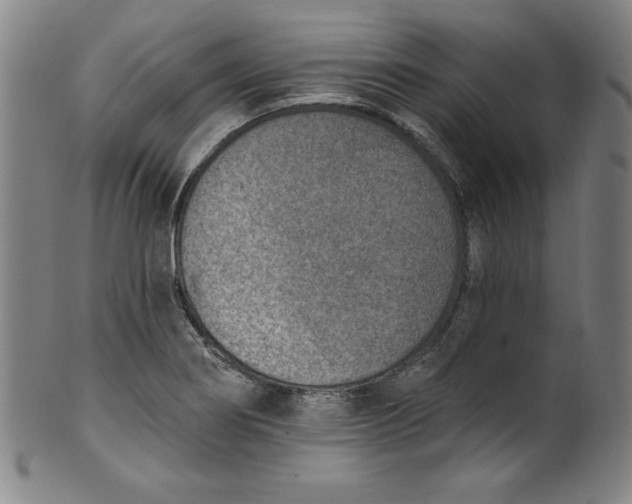 X0000099971274200806061621