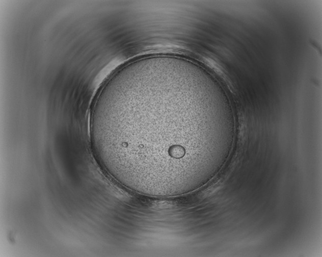 X0000099971275200806061621