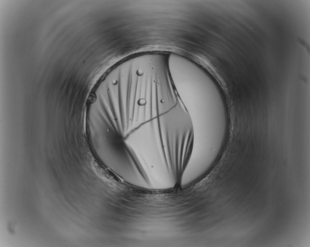 X0000099971276200806061621