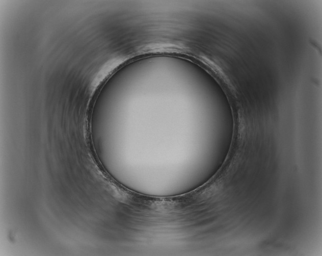 X0000099971277200806061621