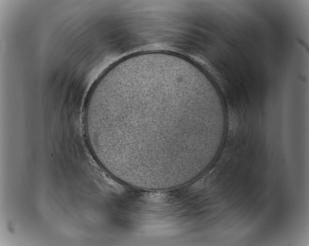 X0000099971278200806061621