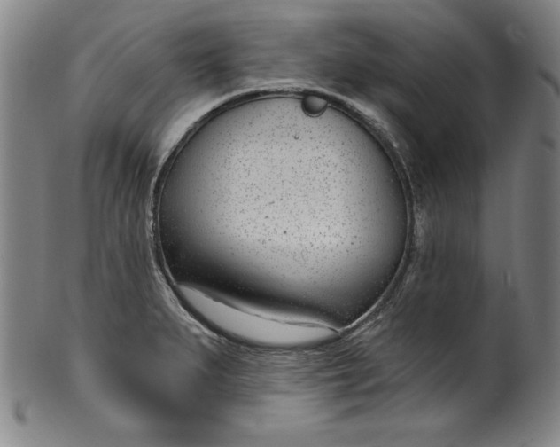 X0000099971279200806061621