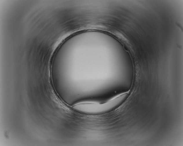 X0000099971280200806061621