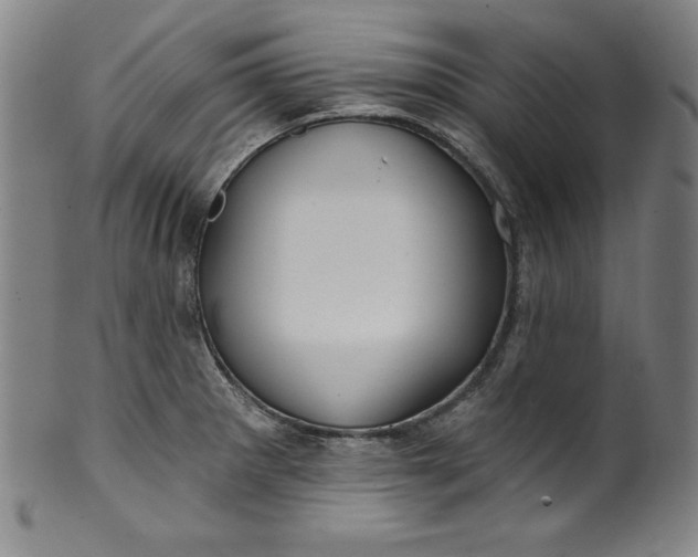 X0000099971281200806061621