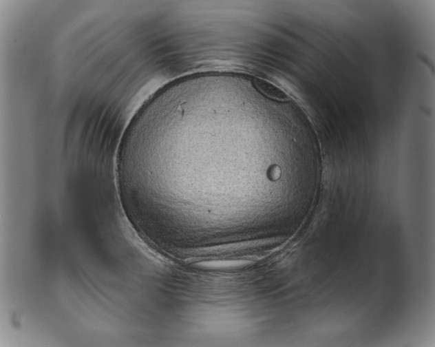 X0000099971283200806061621