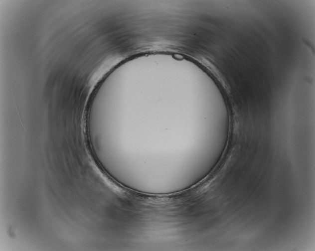 X0000099971285200806061621