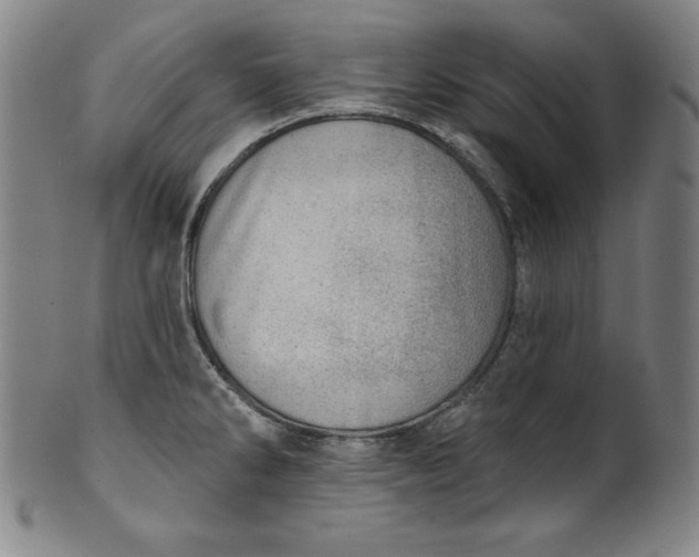 X0000099971286200806061621