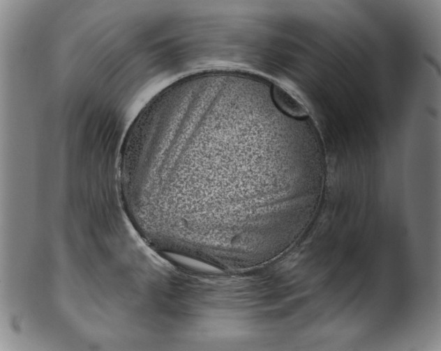 X0000099971287200806061621