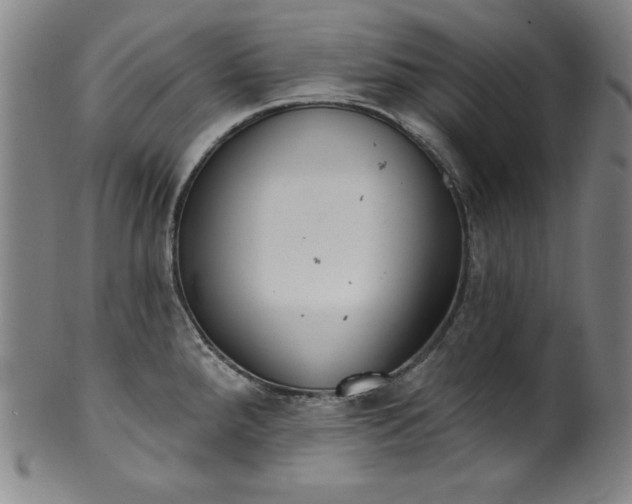 X0000099971288200806061621