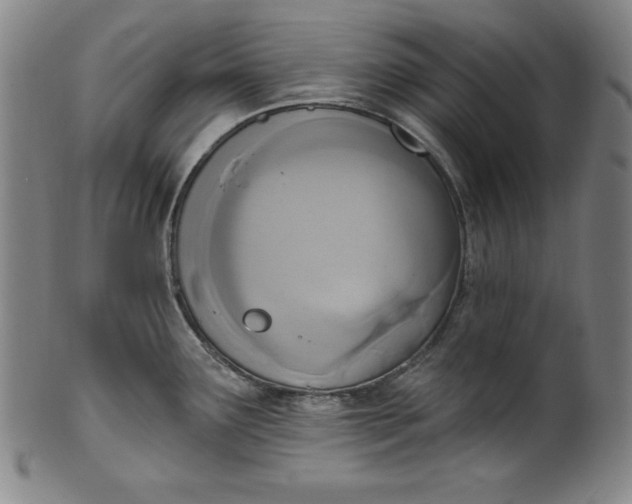 X0000099971291200806061621