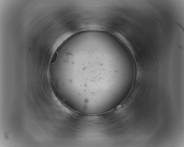 X0000099971293200806061621