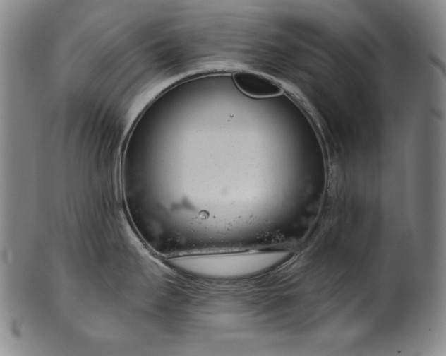 X0000099971295200806061621