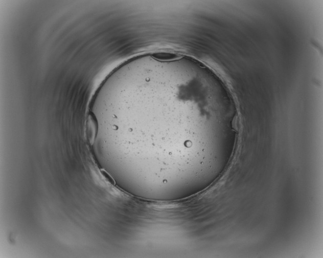 X0000099971296200806061621