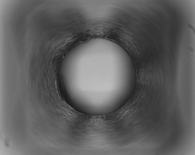 X0000099971297200806061620