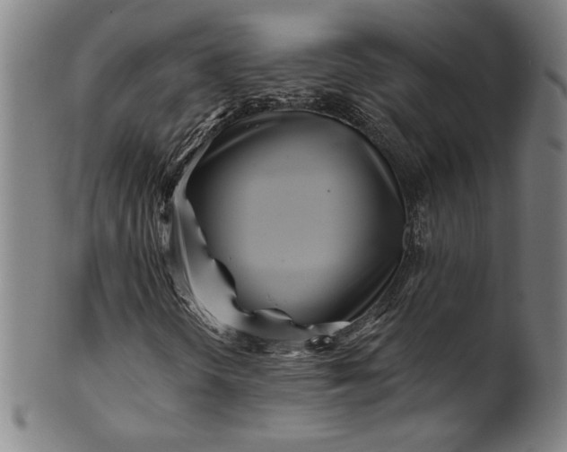 X0000099971298200806061620