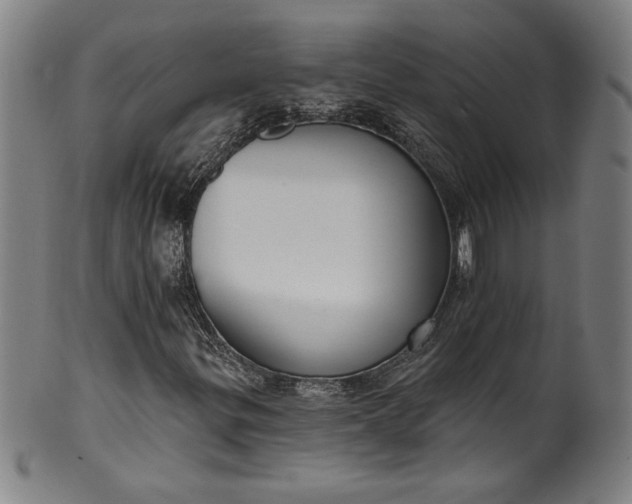 X0000099971299200806061620