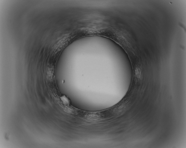 X0000099971300200806061620