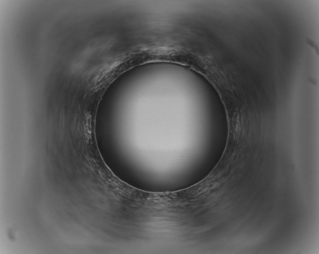 X0000099971301200806061620