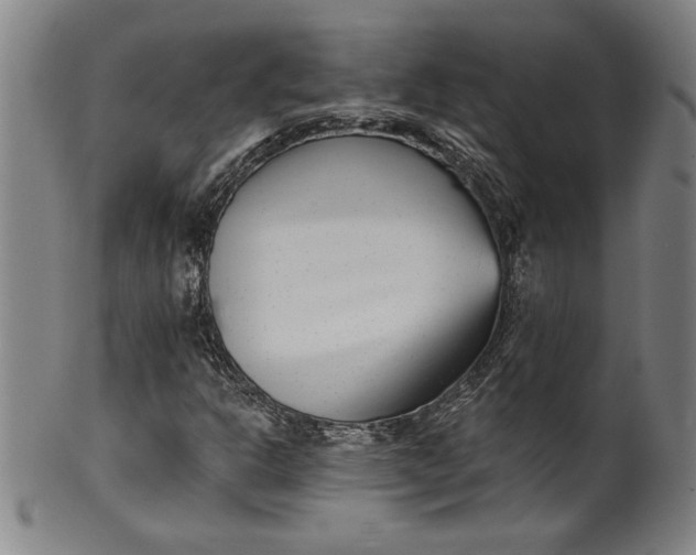 X0000099971302200806061620