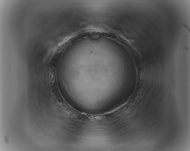 X0000099971303200806061620