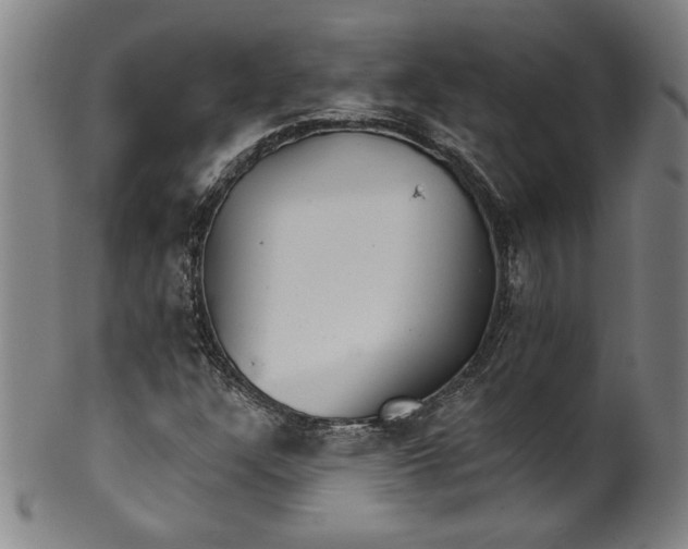 X0000099971304200806061620