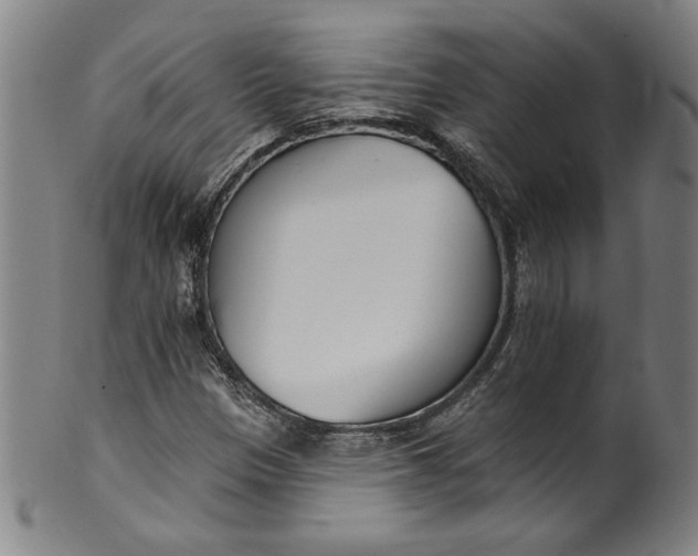 X0000099971305200806061620