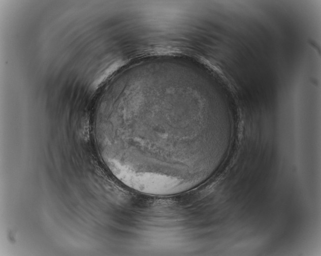 X0000099971306200806061620