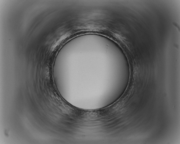 X0000099971307200806061620