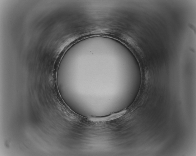 X0000099971308200806061620