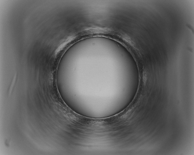 X0000099971309200806061620