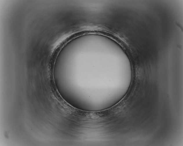 X0000099971311200806061620