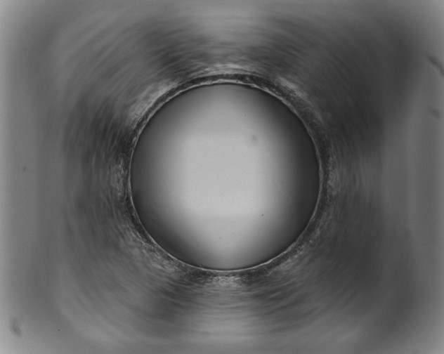 X0000099971313200806061620