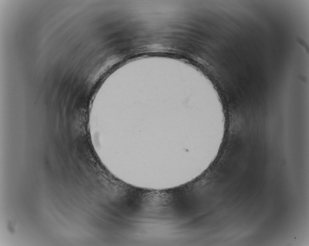 X0000099971314200806061620