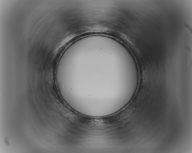 X0000099971315200806061620