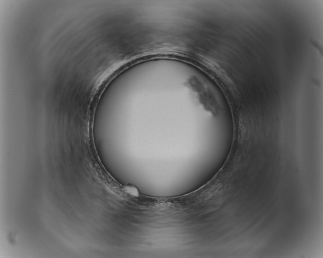 X0000099971316200806061620