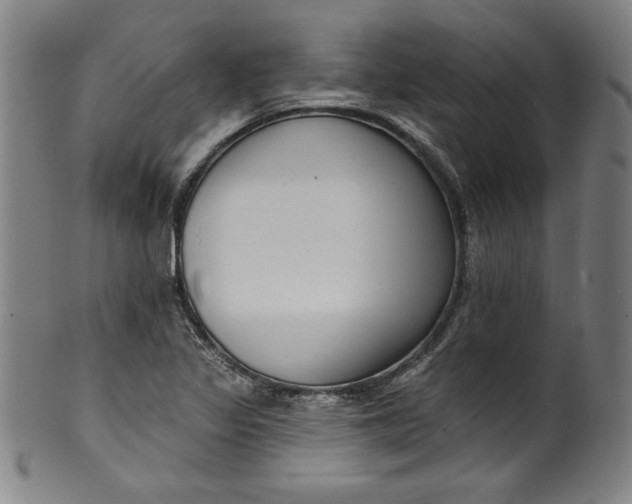 X0000099971317200806061620