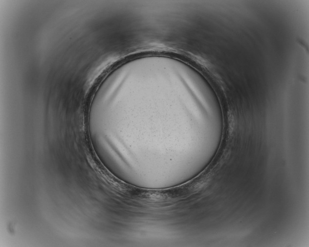 X0000099971318200806061620