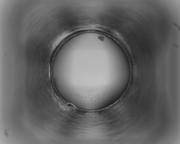 X0000099971320200806061620