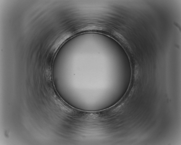 X0000099971321200806061620