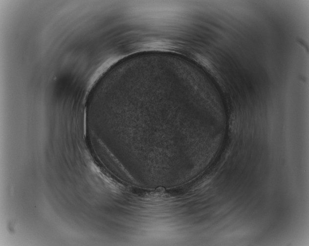 X0000099971323200806061620