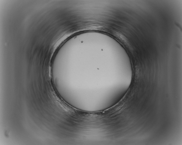 X0000099971324200806061620