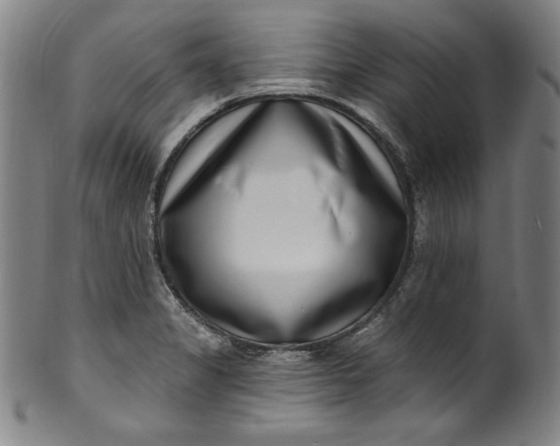 X0000099971325200806061620