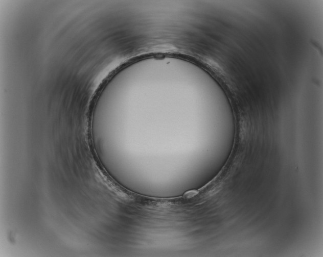 X0000099971326200806061620