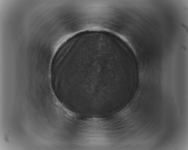 X0000099971327200806061620