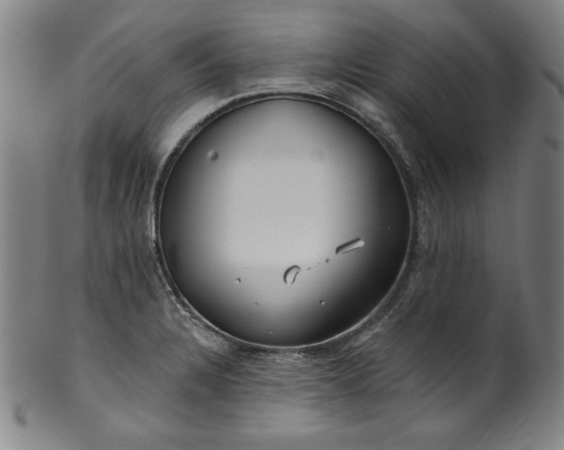 X0000099971328200806061620