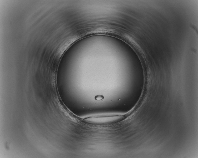 X0000099971329200806061620