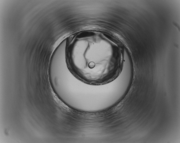 X0000099971330200806061620